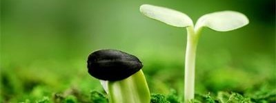 给心理排毒的几种锻炼方式