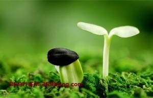 给心理排毒的几种锻炼方式