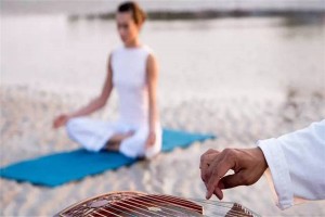 韭菜鸡蛋饺子如何做？能可以促进肠道的蠕动，预防便秘？