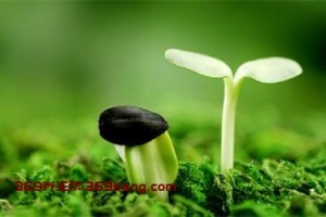 给心理排毒的几种锻炼方式
