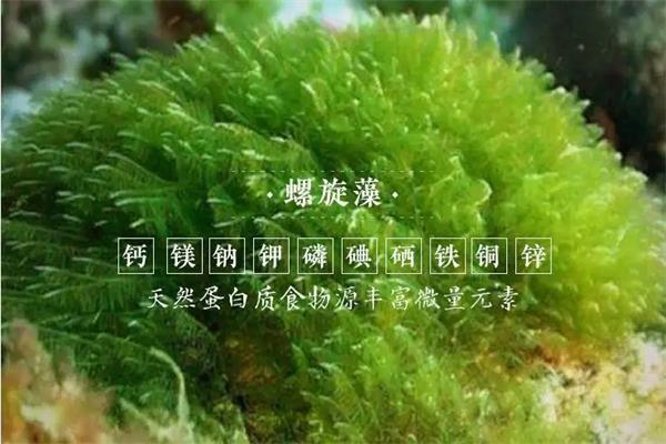 富硒螺旋藻和普通螺旋藻区别是什么？