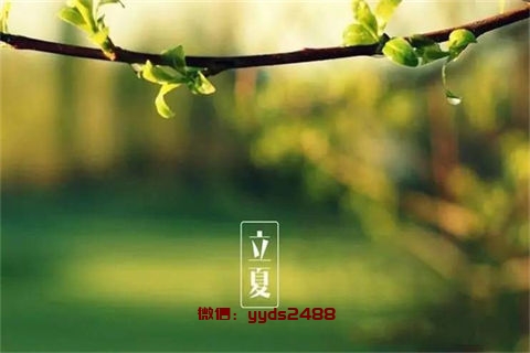 草莓芒果香瓜汁——生津止渴适合夏季