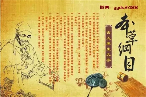百岁寿星——汉朝时期