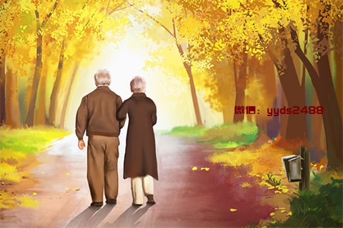 孕妇补血吃什么好