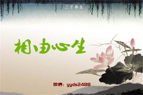 冬季养生就吃这些 能够补血益气