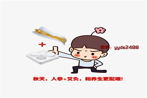 比较适合夏季饮用的降暑茶