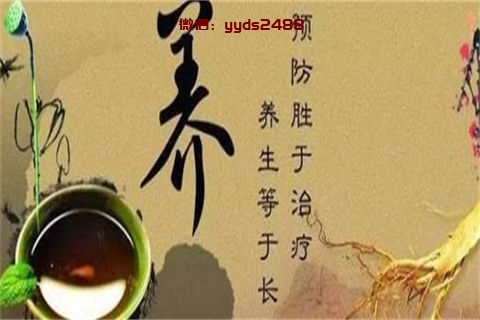 三伏天清凉解暑的两款茶品