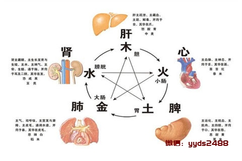 春季误食“发物”隐患多