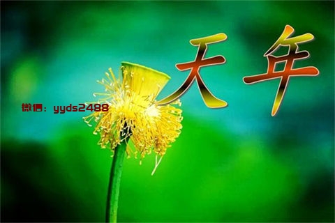 鲜榨果汁更适合“准妈妈”