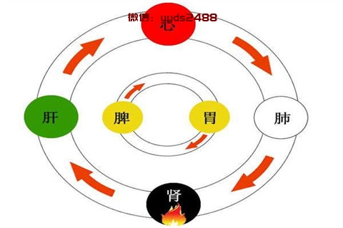 推荐暖身饮食 让你在冬季也温暖