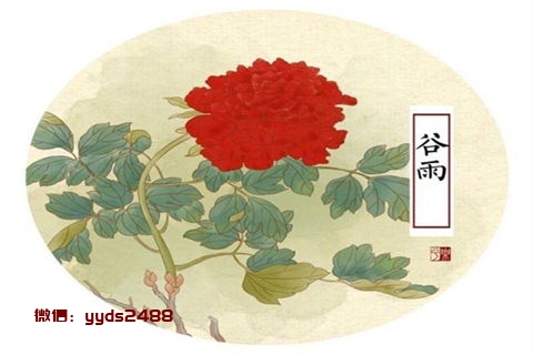 鱼鳞汤，预防老年人骨质疏松症